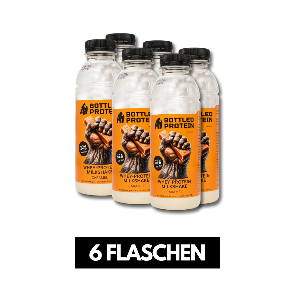 Whey-Protein Milkshake 6 Flaschen